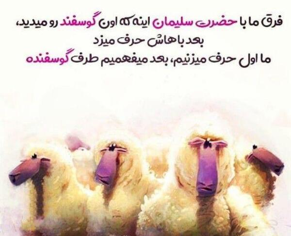 عکس نوشته تولد یه خری نزدیکه