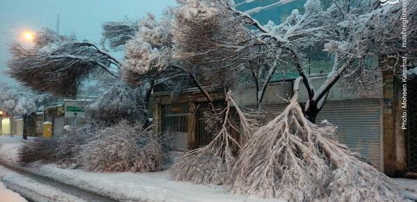 عکس بارش برف تهران