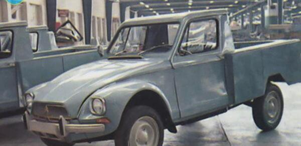 عکس یک ژیان