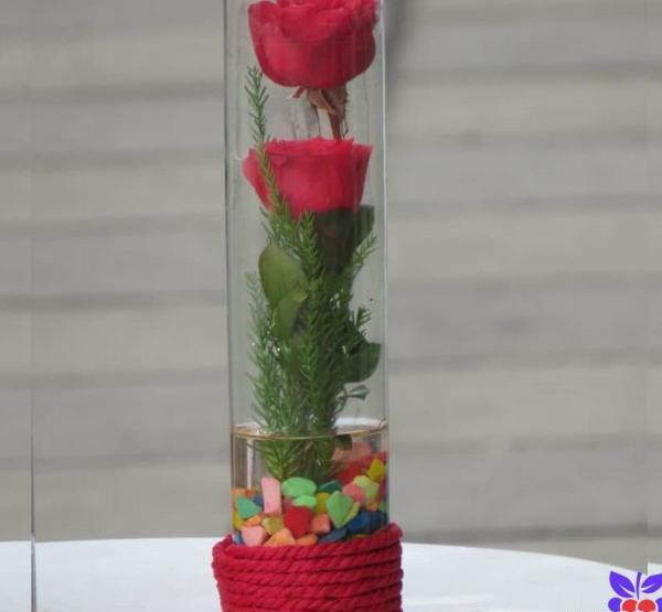 عکس گل رز توی شیشه