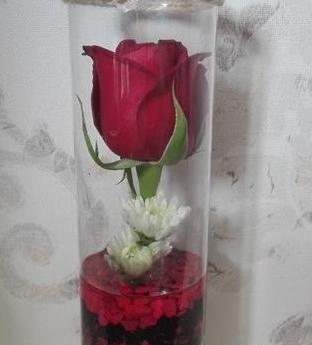 عکس گل رز توی شیشه