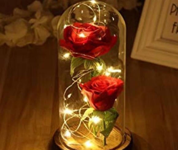 عکس گل رز توی شیشه
