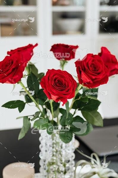 عکس گل رز توی شیشه