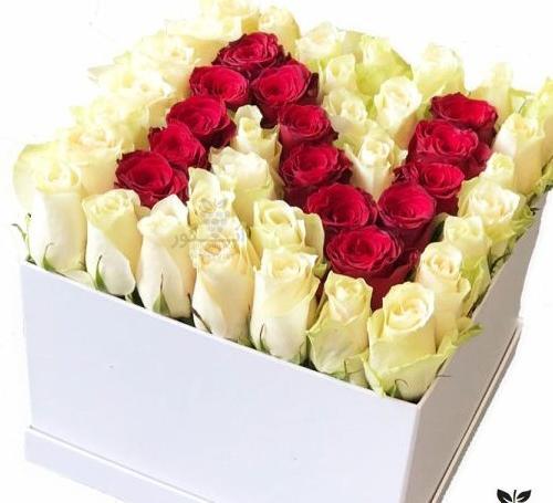 عکس گل رز توی شیشه