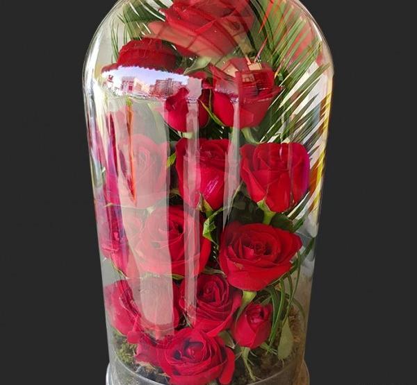 عکس گل رز توی شیشه