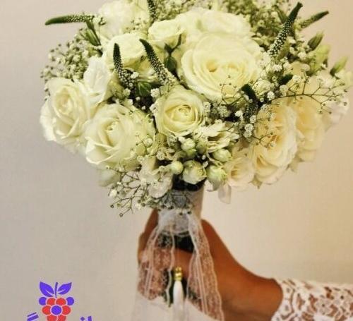 عکس دسته گل نرگس عروس