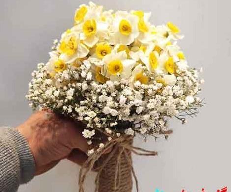 عکس دسته گل نرگس عروس