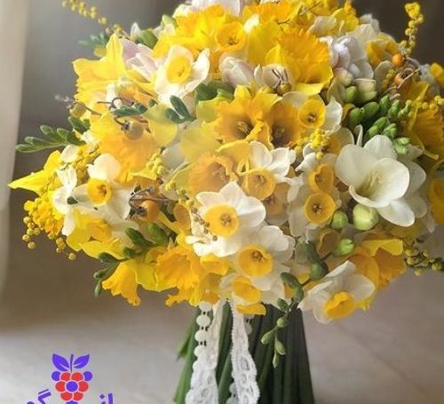عکس دسته گل نرگس عروس