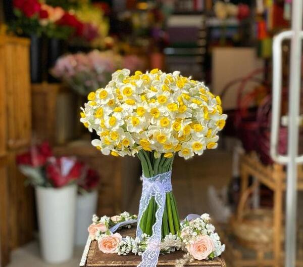 عکس دسته گل نرگس عروس