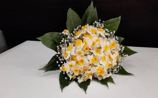 عکس دسته گل نرگس عروس