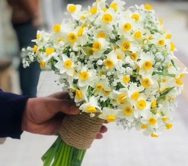 عکس دسته گل نرگس عروس
