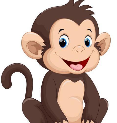 عکس میمون چشم رنگی