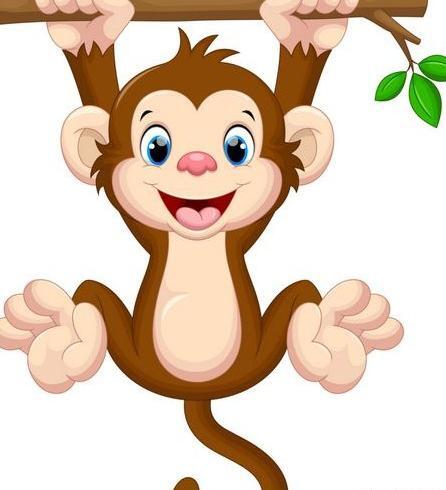 عکس میمون چشم رنگی