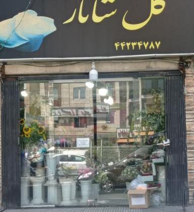 عکس گل سمیرا