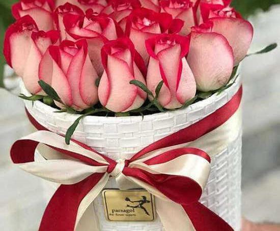 عکس گل سمیرا