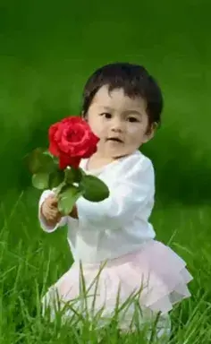 عکس گل سمیرا