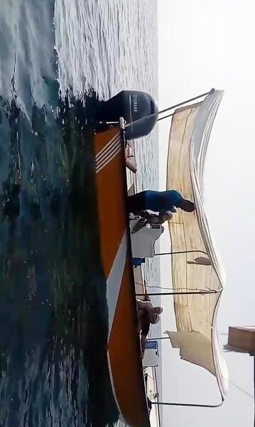 عکس شاه ماهی ایران