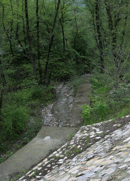 عکس برفی گرگان