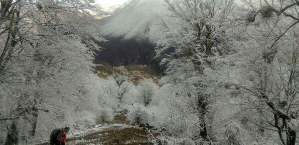عکس برفی گرگان