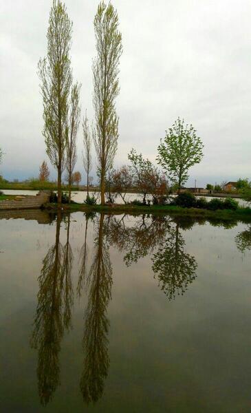 عکس برفی گرگان