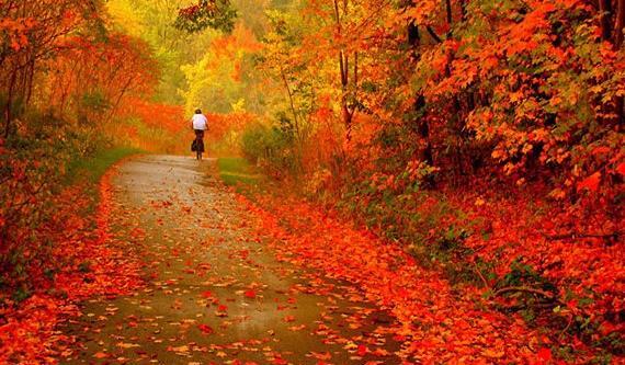 عکس تصاویر طبیعت زیبای پاییزی