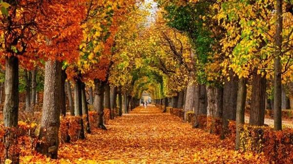 عکس تصاویر طبیعت زیبای پاییزی