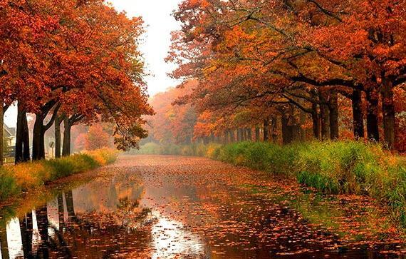 عکس تصاویر طبیعت زیبای پاییزی