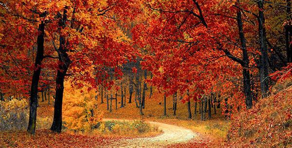 عکس تصاویر طبیعت زیبای پاییزی