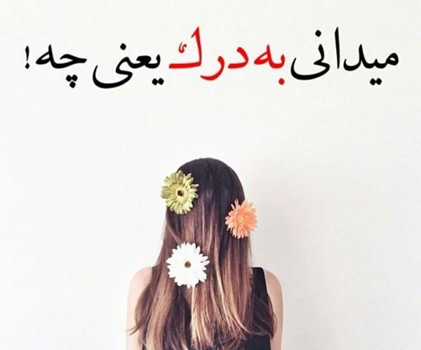 عکس نوشته میرم به درک