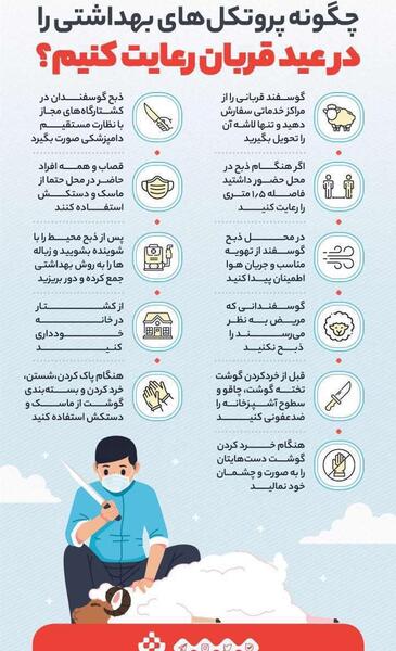 عکس از ذبح گوسفندان