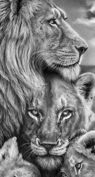 عکس پروفایل عاشقانه شیر