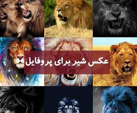 عکس پروفایل عاشقانه شیر