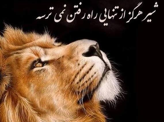 عکس پروفایل عاشقانه شیر