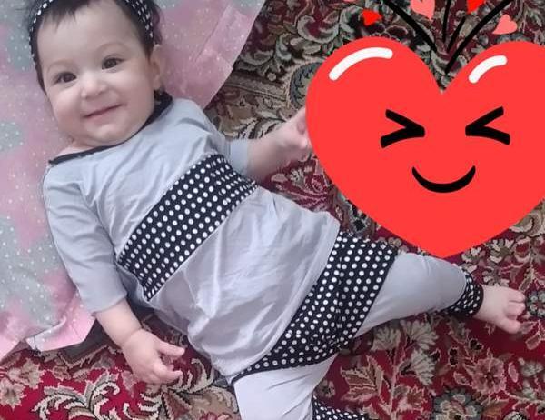 عکس گربه نی نی سایت