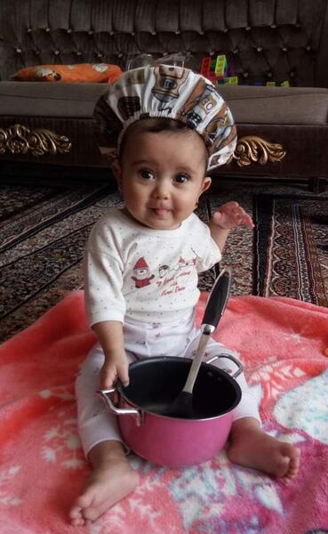 عکس گربه نی نی سایت
