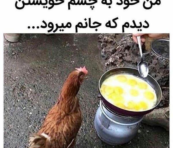 عکس نوشته طنز اینستا