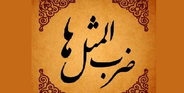 عکس ضرب المثل خیاط در کوزه افتاد