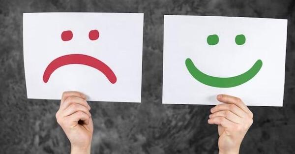 عکس ضرب المثل خیاط در کوزه افتاد