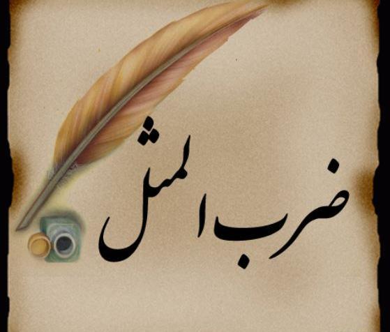عکس ضرب المثل خیاط در کوزه افتاد
