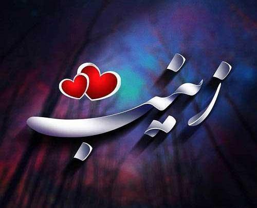 عکس لوگوی زینب