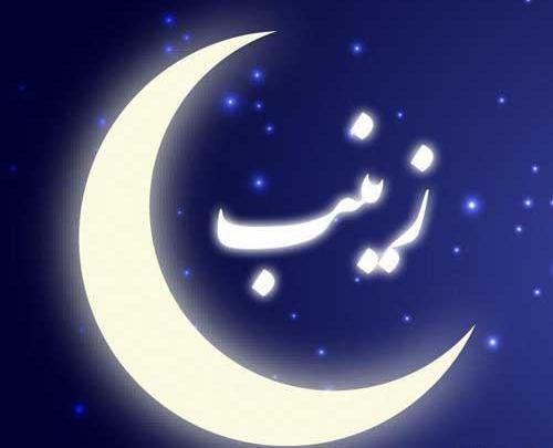 عکس لوگوی زینب