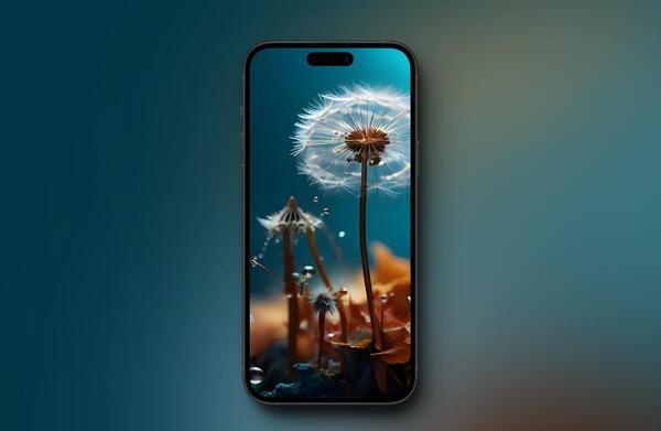 عکس تصویر پس زمینه قاصدک