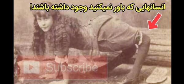 عکس گرگ نما واقعی