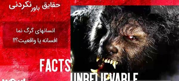عکس گرگ نما واقعی