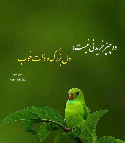 عکس نوشته داشتن رفیق خوب