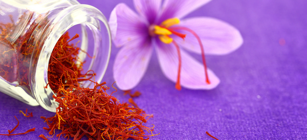 عکس ماهی لوتی