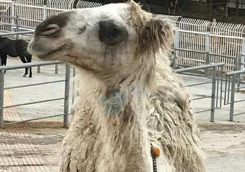 عکس خنده دار کلاس انلاین