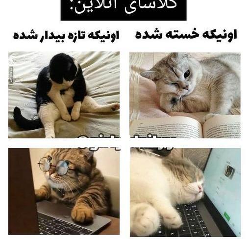 عکس خنده دار کلاس انلاین