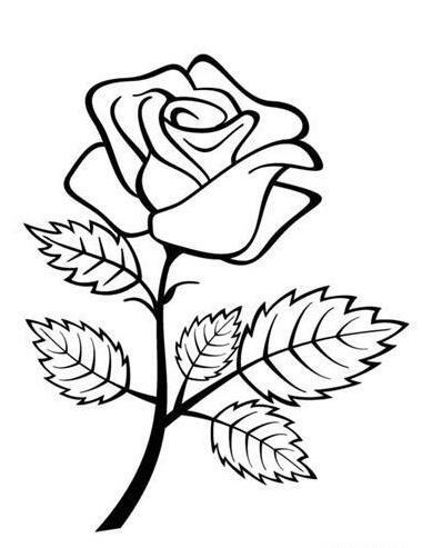 عکس بی تی اس برای طراحی