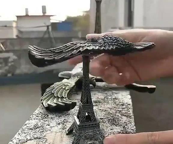 عکس عقاب تعادلی